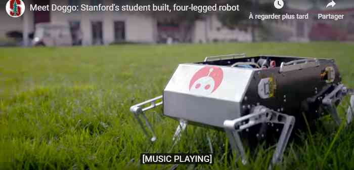 Stanford Doggo est un chien robot à bas prix