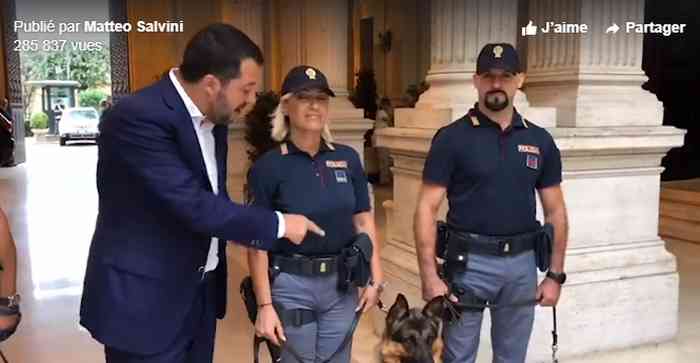 Le ministre de l'intérieur italien lance un appel à l'adoption de 117 chiens