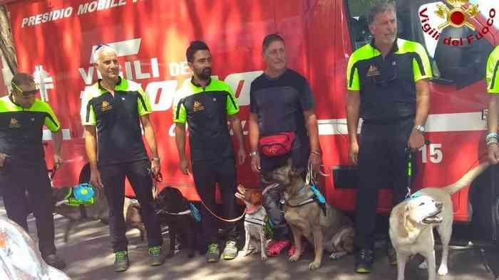 Les chiens des pompiers récompensés à Gênes