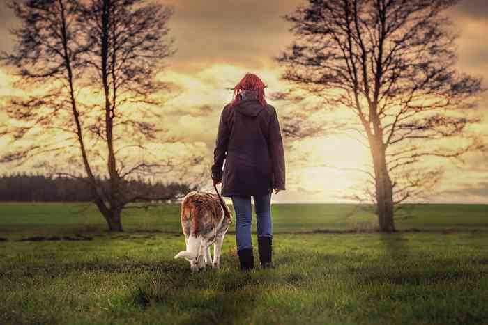 Posséder un chien aide à surmonter la perte d'un conjoint.