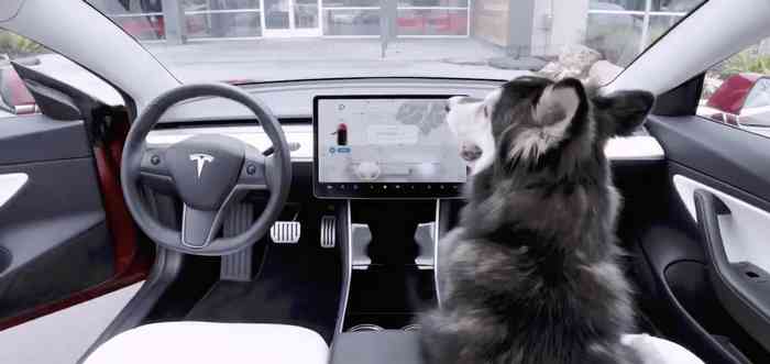 Le mode chien de la Tesla Model S