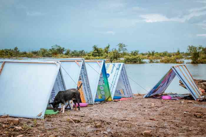 Village de tentes pour chiens sauvés de la crue