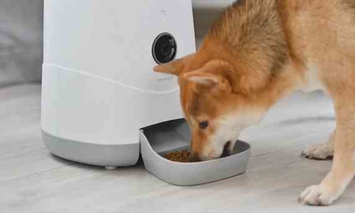 Xiaomi Petoneer Nutri Feeder Le Distributeur De Nourriture High Tech Xiaomi Petoneer Nutri Feeder Le Distributeur De Nourriture High Tech