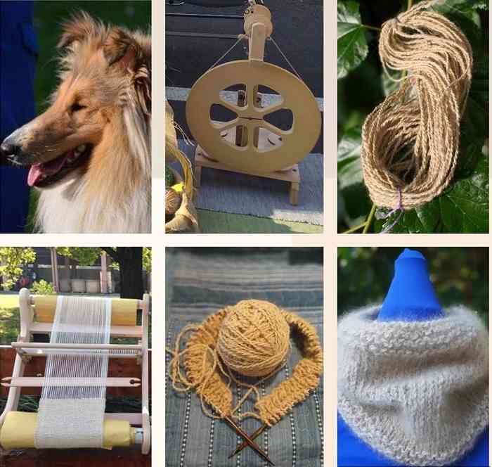Echarpes et chapeaux en poils de chiens véritables