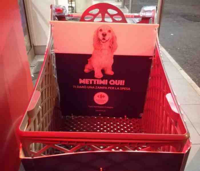 Caddy pour chien du Carrefour de Naples