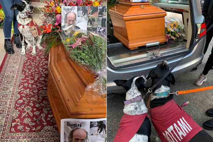 Deux chiens refusent de laisser le cercueil de leur maître à la sortie de l'office religieux