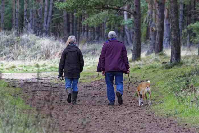 Couple promenant son chien
