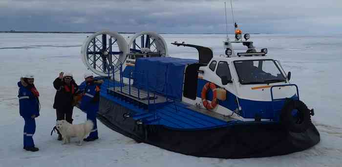 Aika la jeune samoyède sauvée des glaces par des marins russes