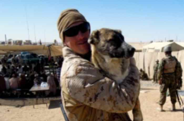 Refuge canin Nowzad en Afghanistan