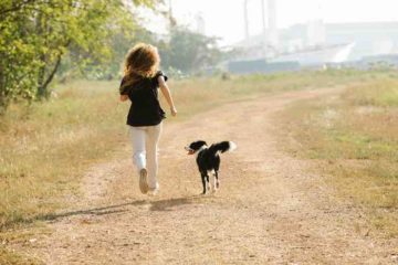 Comment courir avec son chien