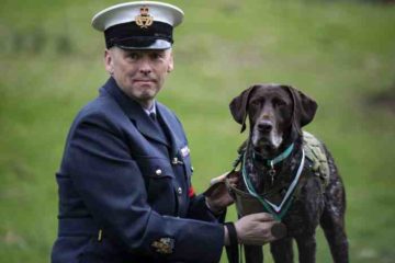 Le chien récompensé de la RAF