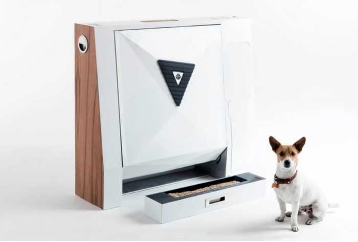 Toilettes Inubox pour chiens modernes.