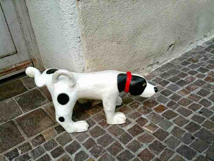 Pipi de chien à Ancône, il faut mettre de l'eau.