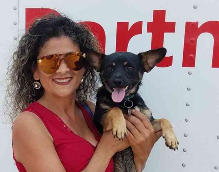 Mona Ahmed adopte les chiens d'un sdf