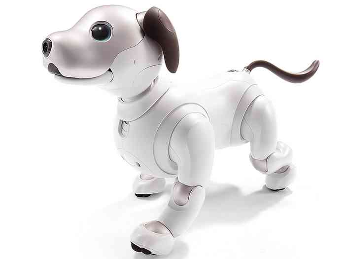 Aibo le chien robot de Sony