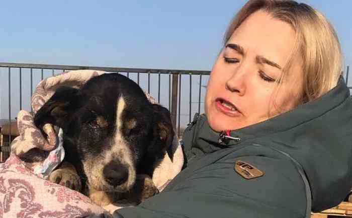 Le chien Dik sort de sa tombe et retourne chez lui