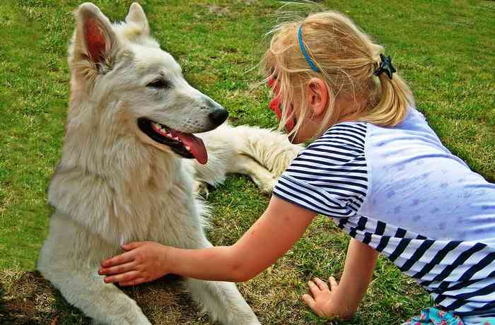 Enfant et son chien