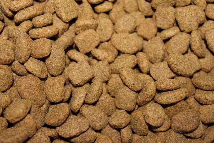 Croquettes no grain pour chiens