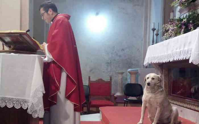 Dans le village italien de Santopadre un chien errant célèbre la messe avec le prêtre