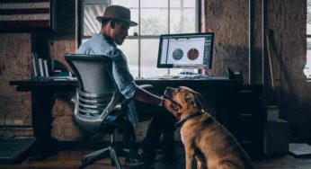 6 bonnes raisons de travailler avec son chien au bureau