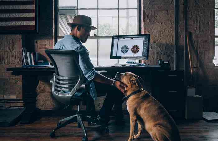 Chien au bureau avec son maître