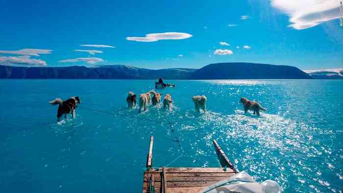 Groenland, les chiens de traineau courent sur l'eau