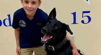 USA, un garçon de 9 ans recueille 90 000 $ pour acheter des gilets pare-balles à des chiens policiers.