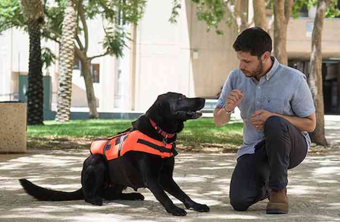 Une équipe de chercheurs israéliens a mis au point un manteau vibrant permettant de communiquer avec les chiens