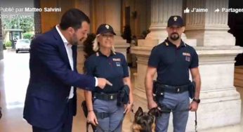 Salvini lance un appel à l’adoption des chiens du camps de migrants de Cara di Mineo