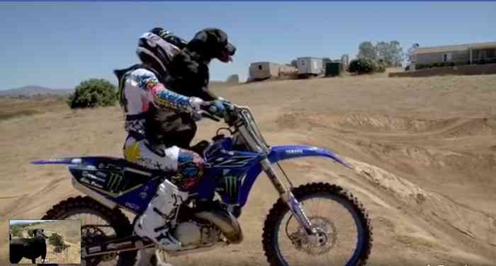 Le pilote Jarryd McNeil avec son chien et sa Yamaha YZ