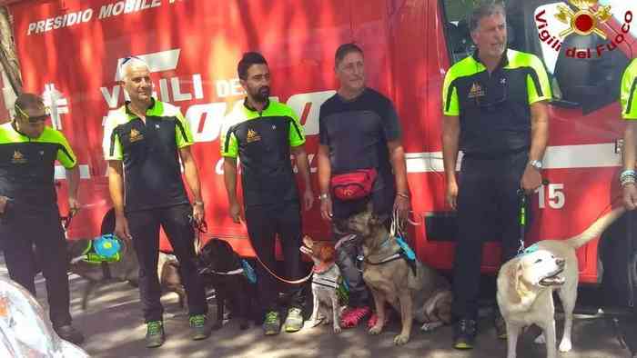 Les chiens sauveteurs des pompiers sont à l'honneur
