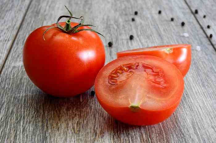 Un chien peut-il manger des tomates?