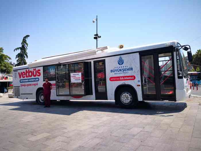 Vetbus, le bus clinique des vétérinaires qui soignent les chiens errants à Istanbul