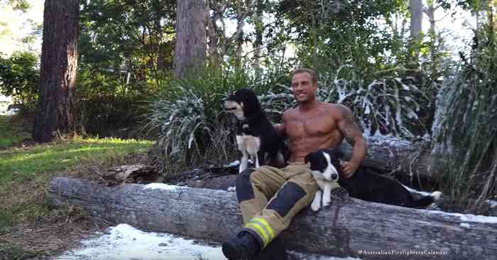 Les pompiers australiens publient un calendrier avec leurs chiens