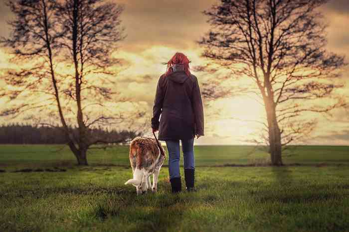 Les chiens aident à surmonter la dépression