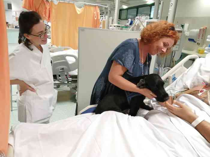 Nello le chien qui va voir son maître à l'hôpital 