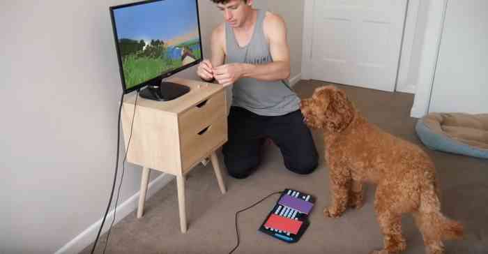 Max le chien fan de jeux vidéos