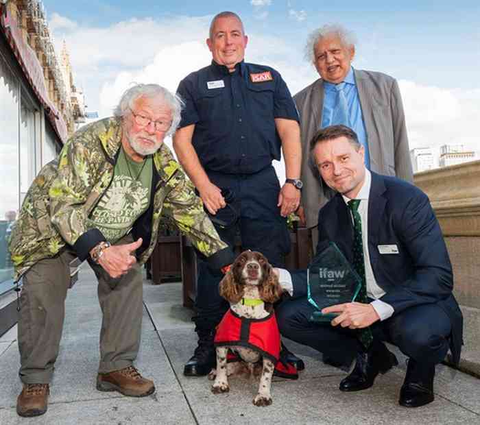 Ce chien a sauvé des vies lors de divers tremblements de terre