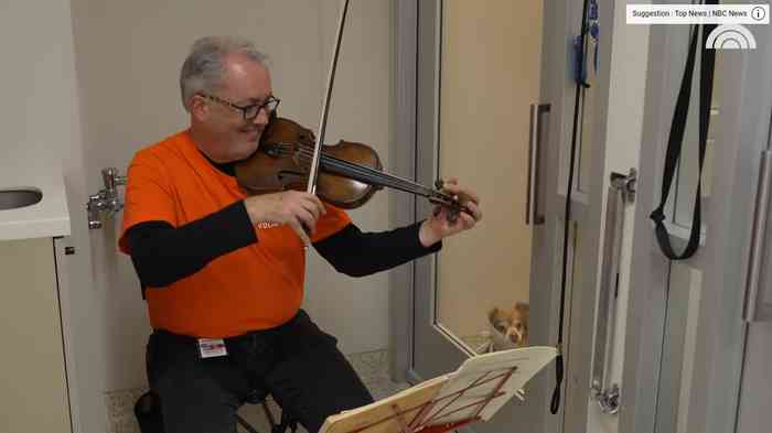 Un violoniste apaise les chiens malheureux en leur jouant du violon