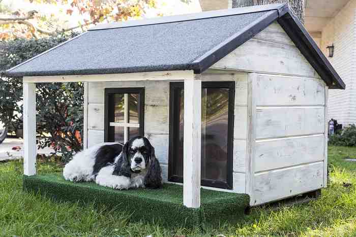 Choisir une niche pour faire dormir son chien à l'extérieur