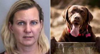 Son chien n'arrête pas d'aboyer dans la maison, elle le noie