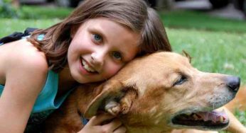 Les chiens pourraient protéger les enfants contre la schizophrénie