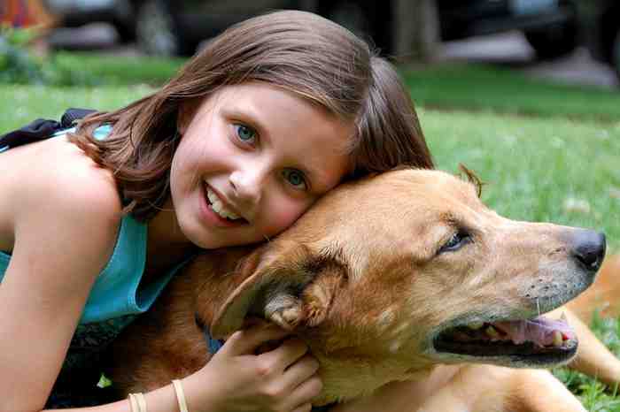 Les chiens protégeraient les enfant de la schizophrénie