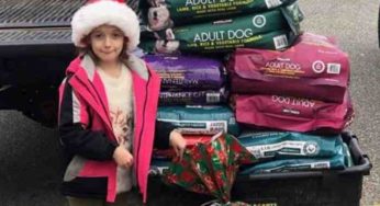 Pour Noel cette fillette a demandé de la nourriture pour les chiens errants