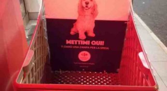 Au Carrefour de Naples on fait ses courses avec son chien
