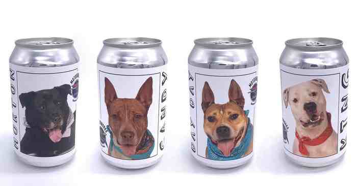 Chiens sur des canettes de bière