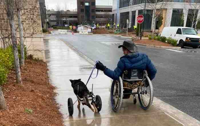 Maître et chien sont en situation de handicap et en fauteuil roulant