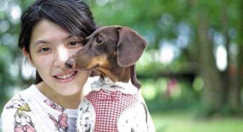 Nos chiens peuvent-ils transmettre le Coronavirus ?