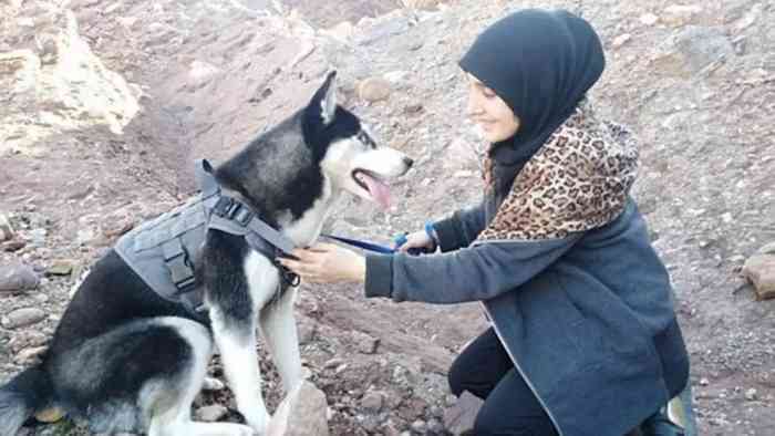 Chien Husky abattu en Afghanistan