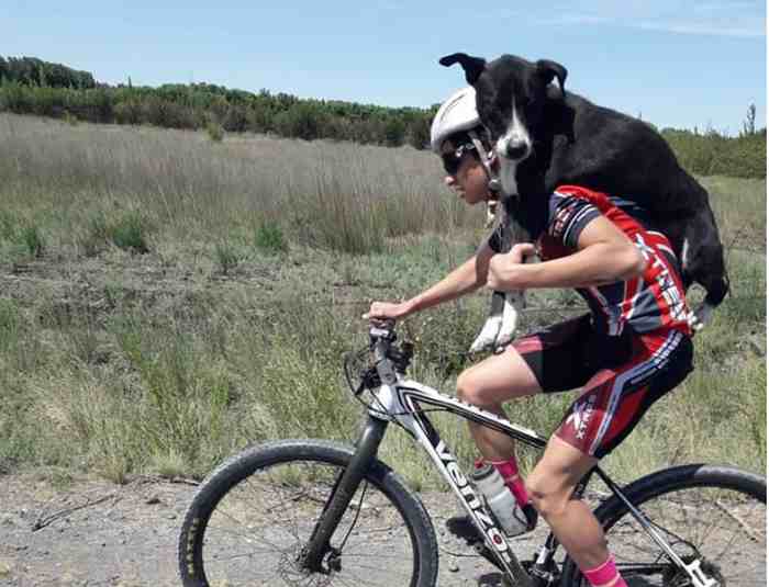 Ce cycliste sauve un chien abandonné en Argentine